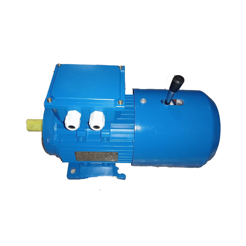 BZB Brake Motor Series Three Phase IE1 Asynchronous Motor