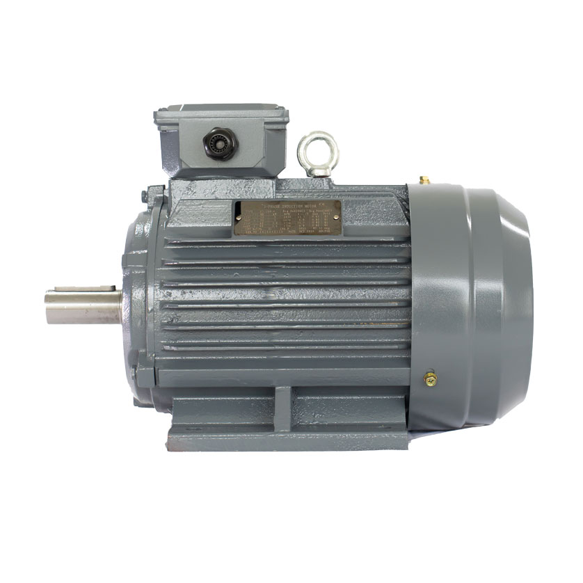 OTG Heavy Duty Three Phase Induction Motor